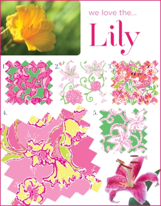 Day Lilly Inspirations from A COLORFUL BLOG